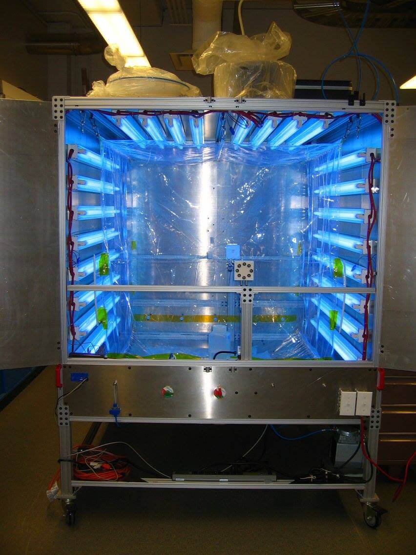 Chamber